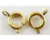 Gold Spring Clasp